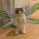 ◈Няшные Фрики◈