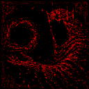 HUB