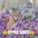👑Отряд Шлёп:)👑