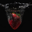 FRAGARIA