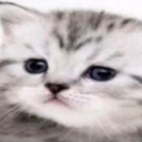 KAOSHITO