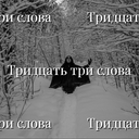 Тридцать три слова
