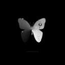Asphyxia