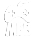 MEB ¹⁰¹ (vk.com/mebru)