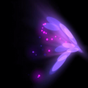 Viola