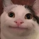 ✅ BeluGANG2