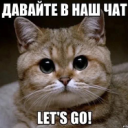 ✨ | Диванные эксперты