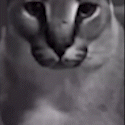 ƜΛᛊᚢᚣᚺЏⰓᛆ
