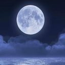 NIGHT