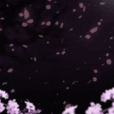 ✧Luminastri