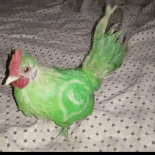 17shitcancerpost13