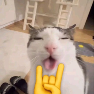 djizou