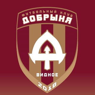 Добрыня | Детская школа футбола