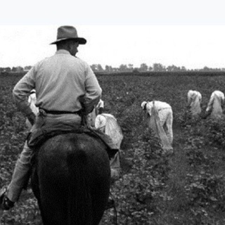 Doctors Farm قلعه پزشکان