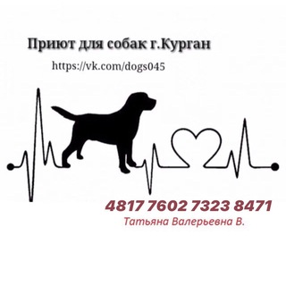 «Ласковый зверь» Приют для собак г. Курган
