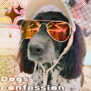 [РОЗЫГРЫШ] ᝰ.ᐟ собачке confession + daily .ᐟᝰ.
