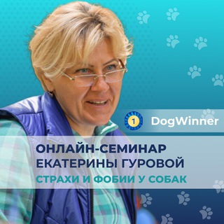 Аватар канала Моя тревожная собака @dogwinner_gurova