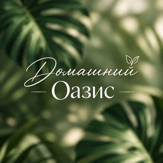 Домашний Оазис 🪴