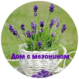 КРЕМЛЬ. КОЛОМНА. Дом с мезонином.