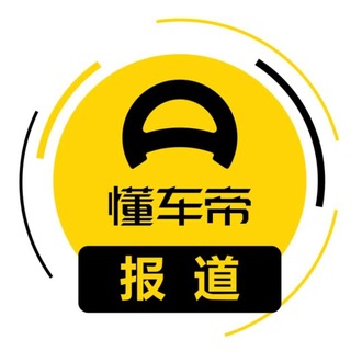 广东懂车帝报告
