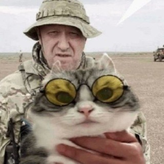 мсмк по экстремизму