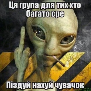 Аватар канала боблокс "сериал" @drochilnyalol