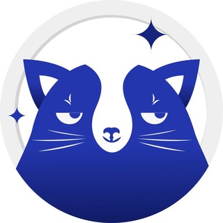 DropCat: логистический сервис от Ediweb