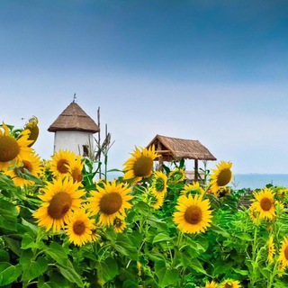 ☀️ Детский сад 219 ☀️