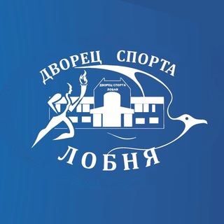 Дворец Спорта «Лобня»