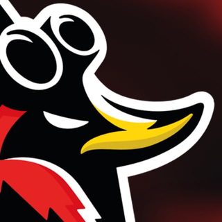 Duck Fly — Скейтборд школа