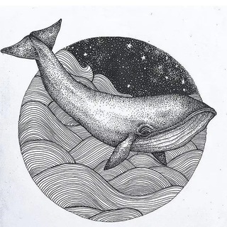 🐋 Рыба, морепродукты ДВ оптом 🐋