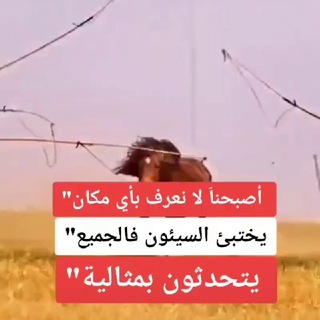 𓊆علم النفس في الحب 𓊇