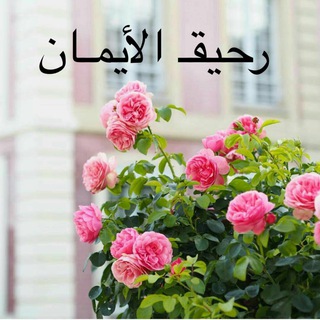 رحيق الإيمان ☘️