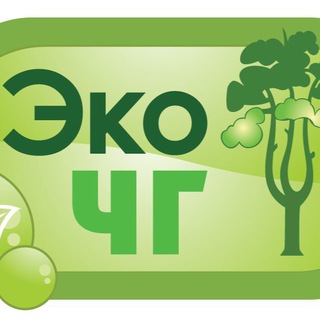ЭкоЧГ