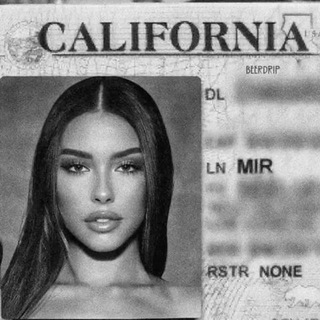 𝟐𝟐𝟒💸