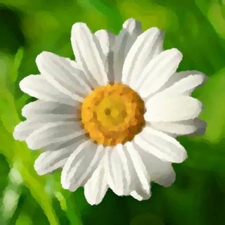 Экология здоровья 🌱 Осознанный выбор