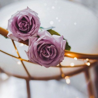 آقྀ̲ہٰٰٰـــتَہَٰـــــــبّہآسٰٰٓــــــآتــ:♔.