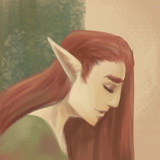 Elf boys ZINE