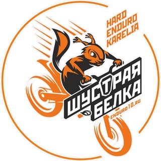 Шустрая Белка Новости.