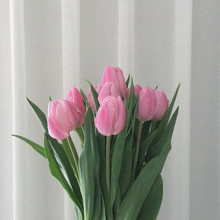 كيان أنثى🌸🌱