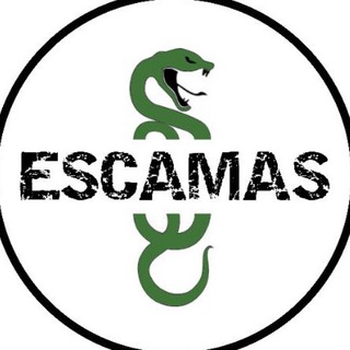 Escamas_joyas