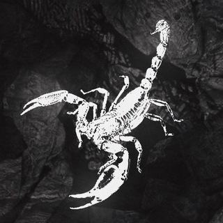 ESCORT SCORPIONS WEAR