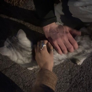 ‌⤸ وَنَــس💕))".