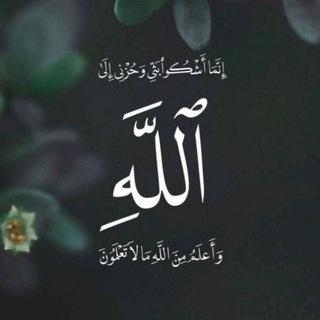 ﯝإلہيہه تہرجہعہُﯝنٍ 💛🍃