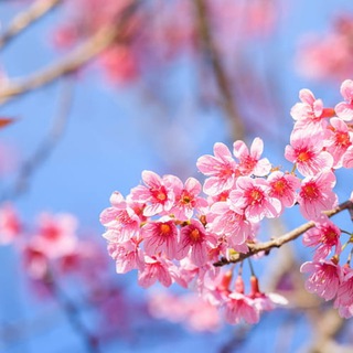 Естетика 🌸 🦋 🌄 | Картинки, фото - заставки та шпалери | Pictures Wallpaper