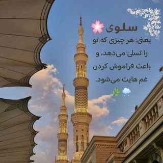 سلوى 🌸