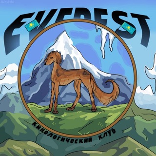 .🏔️· 𝖲𝖫𝖱𝖲 - CC «EVEREST» | Pony Town