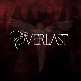 EVERLAST | TF