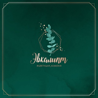 Эвкалипт – цветущая кофейня
