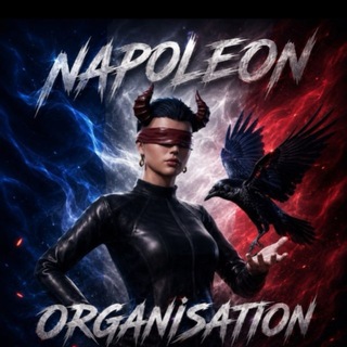 NAPOLEON ORGANIZATION
